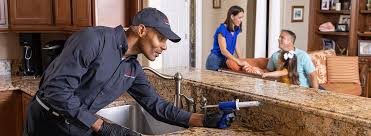 Best Wildlife Removal  in Cave Creek, AZ