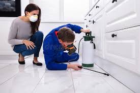 Best Bed Bug Extermination  in Cave Creek, AZ